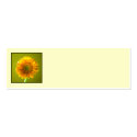 Yellow Daisy Gerbra Flower Wedding Place Name Card profilecard