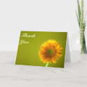Yellow Daisy Gerbra Flower Wedding Thank You card