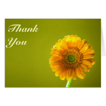 Yellow Daisy Gerbra Flower Wedding Thank You Greeting Cards