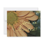 Yellow Daisy Invitation