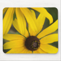 Yellow Daisy  Mousepad mousepads