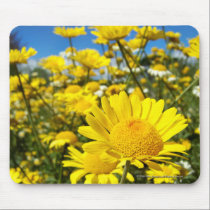 Yellow Daisy mousepads
