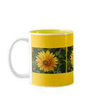 Yellow Daisy mugs