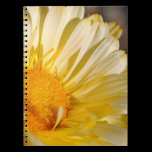 Yellow Daisy Notebook notebooks