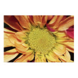 Yellow Daisy on Canvas Print