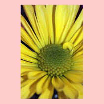 Yellow Daisy on Canvas Vertical Print posters