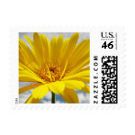 Yellow Daisy stamp