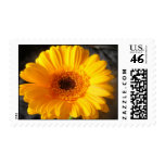 Yellow Daisy Postage Yellow Daisy Postage