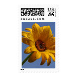 Yellow Daisy Postage