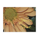 Yellow Daisy Postcard