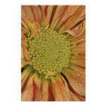 Yellow Daisy Vertical Photo on Canvas Print