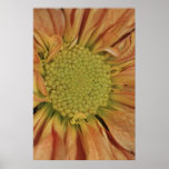 Yellow Daisy Vertical Photo on Canvas Print