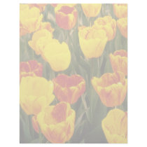 yellow Darwin Hybrid Tulips, 'Striped Oxford' flow Custom Letterhead