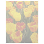 yellow Darwin Hybrid Tulips, 'Striped Oxford' flow Custom Letterhead