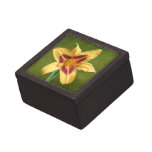 Yellow Day Lily premium gift boxes