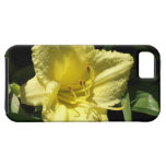 Yellow Daylily Flower: Hemerocallis iPhone 5 Cases