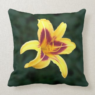 Yellow Daylily Flower with Red, Hemerocallis: Throw Pillow