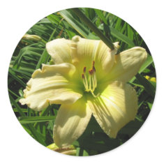 Yellow Daylily sticker