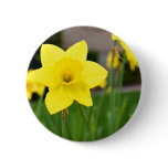 Yellow Delight-Spring Daffodil Pins
