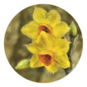 Yellow Delight stickers