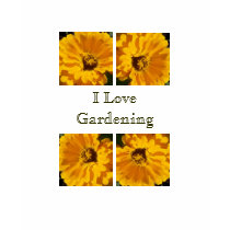 Yellow Devine t-shirts