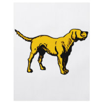 Yellow Dog flyers