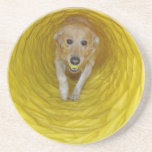 Yellow dog in Yellow tunnel with Yellow ball coasters