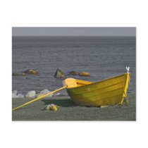Yellow Dory Postcard