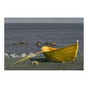 Yellow Dory Print