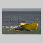 Yellow Dory Print