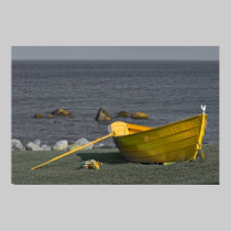 Yellow Dory Print posters