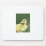 Yellow Duck Mousepad