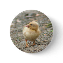 Yellow Duckling button