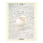Yellow Duckling letterhead