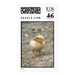 Yellow Duckling Postage