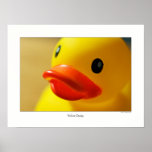Yellow Ducky posters