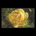 Yellow English Rose Sticker