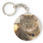 yellow eyed cat keychains