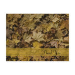 Yellow Fallen Leaves Thank You Postcard