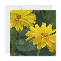 Yellow False Sunflowers Invitations
