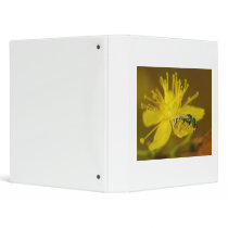 Yellow Female Bee Collecting Pollen Vinyl Binder