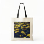 yellow Fern Leaf Yarrow,(Achillea Filipendulina) f bags