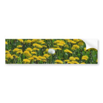 Yellow Field of dandelions in the Netherlands flow Bumper Stickers