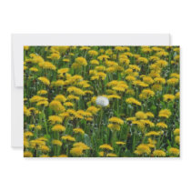 Yellow Field of dandelions in the Netherlands flow Personalized Invitation