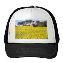 yellow Field of yellow rapeseed in North Yorkshire Mesh Hats
