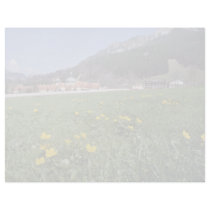 yellow Field With Ettal Monastery, Bavaria flowers Letterhead Design