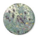 Yellow finch in the Shoreline Garden magnets
