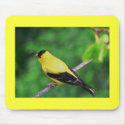 Yellow Finch mousepads