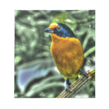 Yellow Finch Note Pad