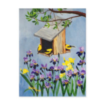 Yellow Finch Postcard